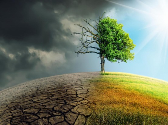 2025地球超載日提前到7月24日！人類已耗盡全年資源，正在透支未來嗎？