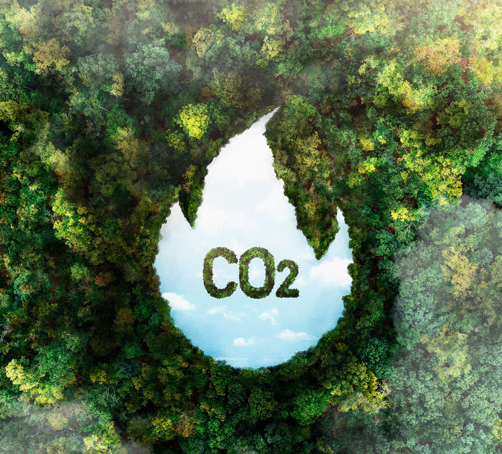 ISO 14067:2018 產品碳足跡不只是數字，而是企業減碳的起點